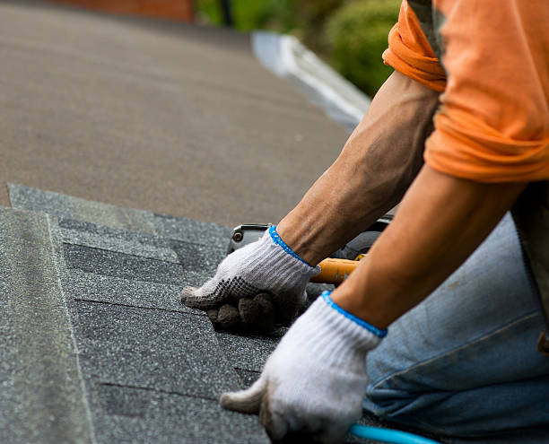 Best Flat Roof Repair Services  in Plains, TX